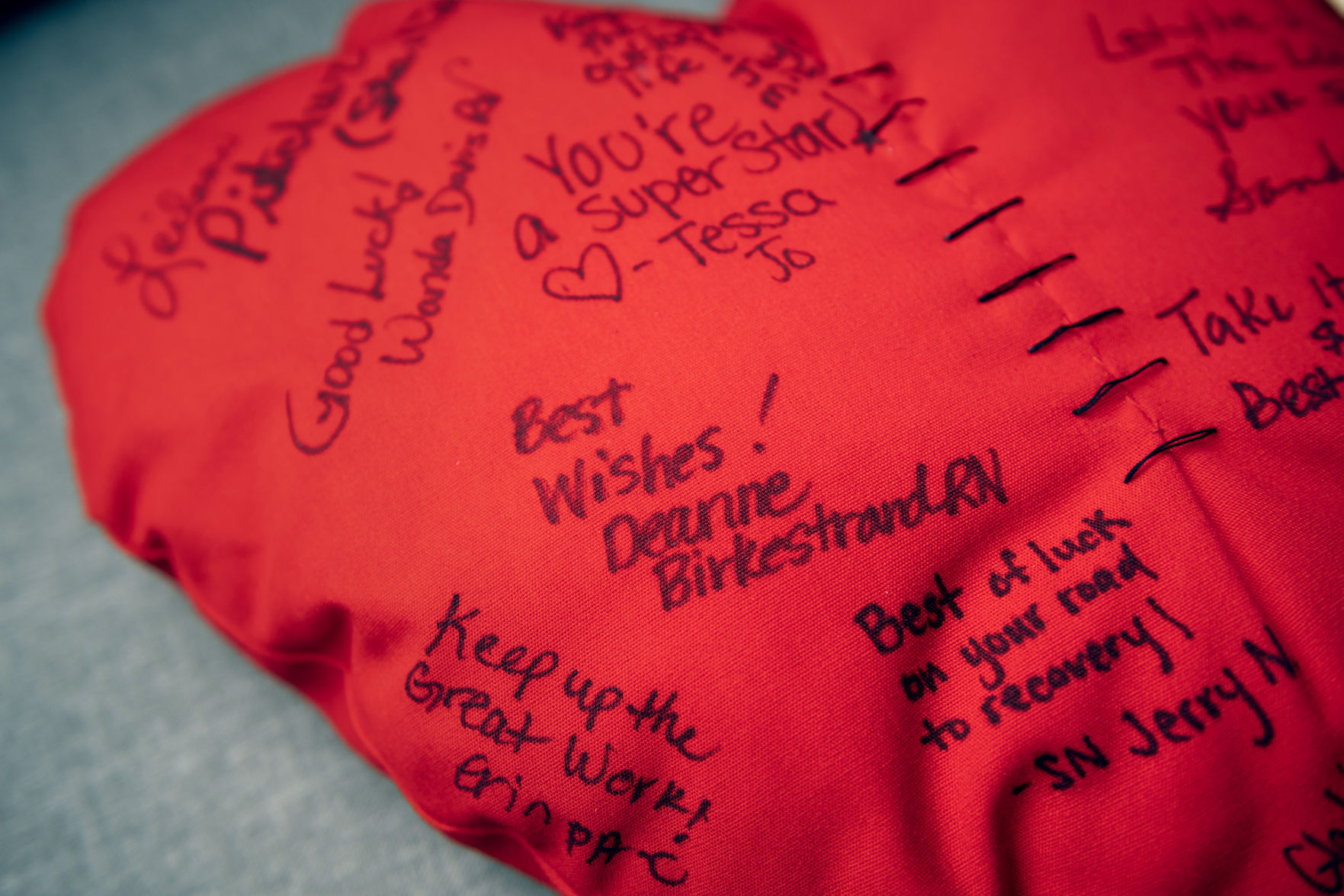 Heart pillows, 5.5